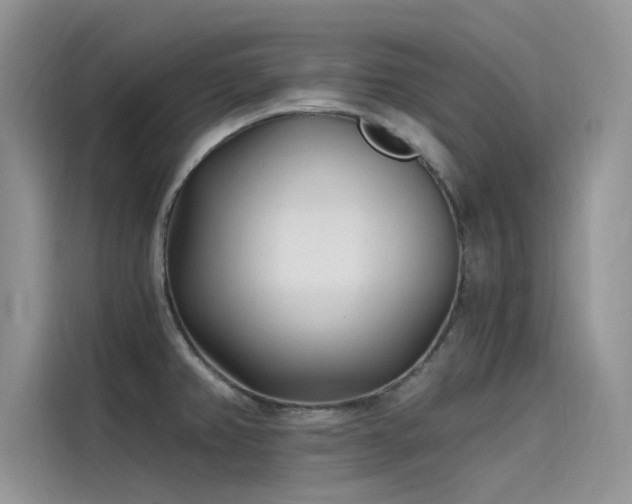X0000115521382200911131436