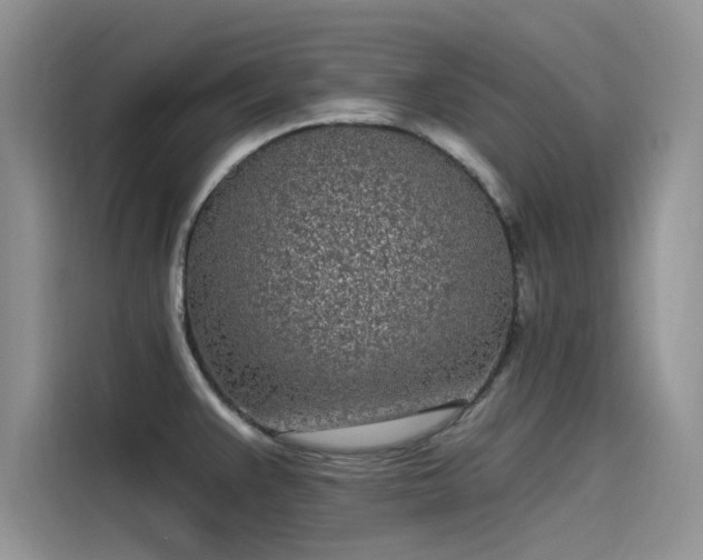 X0000115521383200911131436