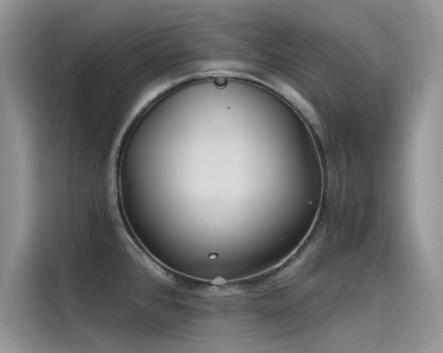 X0000115521384200911131436
