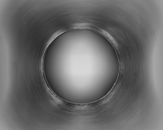 X0000115521386200911131436