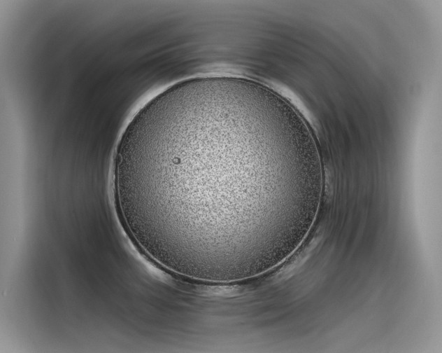X0000115521387200911131436