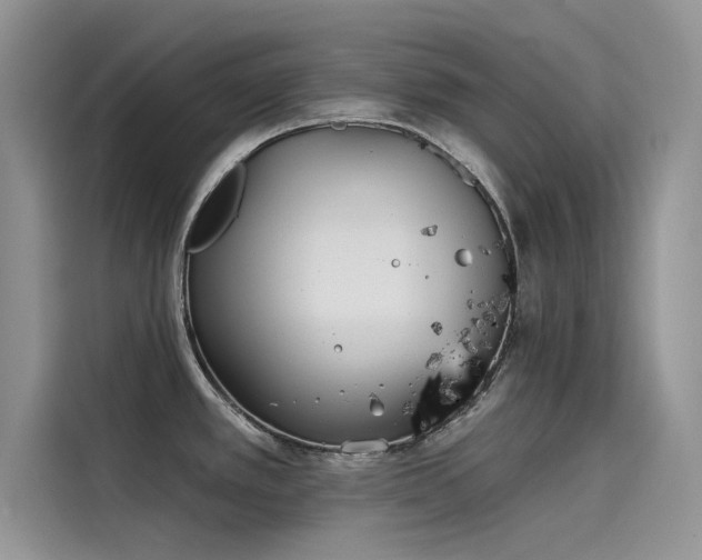 X0000115521389200911131436