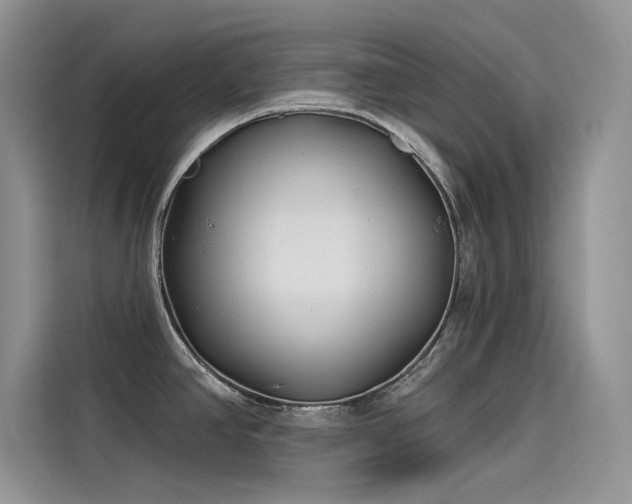 X0000115521390200911131436