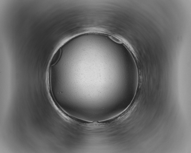 X0000115521391200911131436