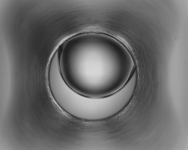 X0000115521392200911131436