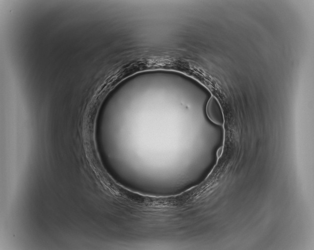 X0000115521393200911131436