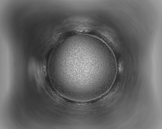 X0000115521396200911131436