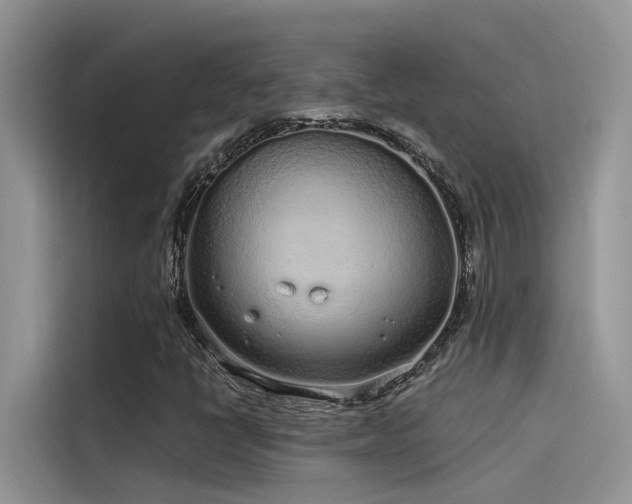 X0000115521398200911131436