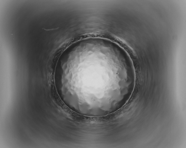 X0000115521399200911131436
