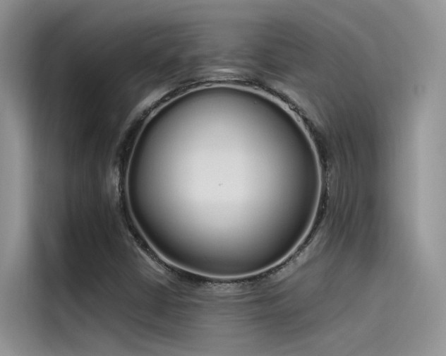 X0000115521402200911131436
