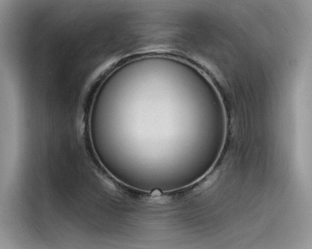 X0000115521406200911131436