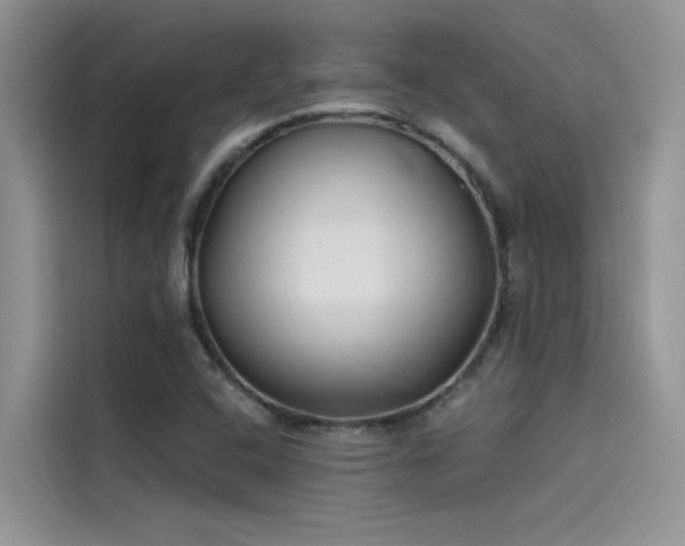 X0000115521408200911131436