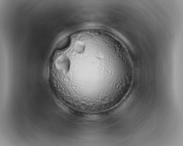 X0000115521413200911131436