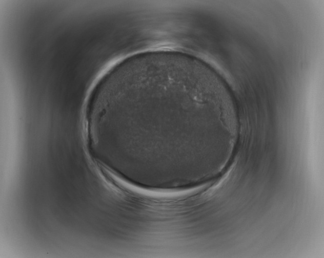 X0000115521414200911131436