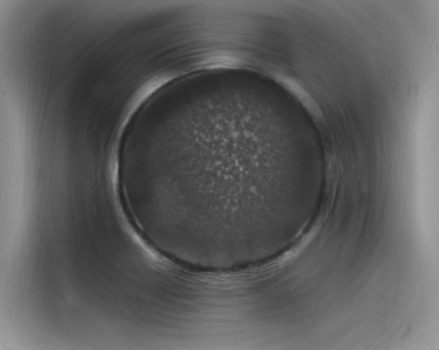 X0000115521418200911131436