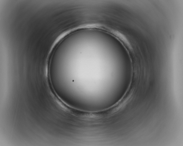 X0000115521420200911131436