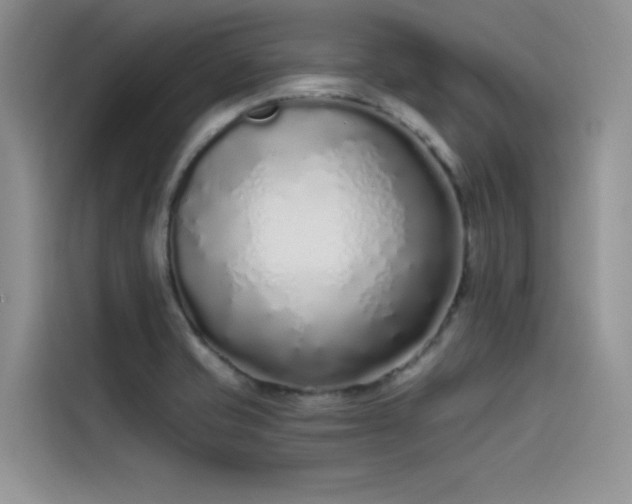 X0000115521421200911131436