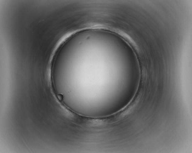 X0000115521424200911131436