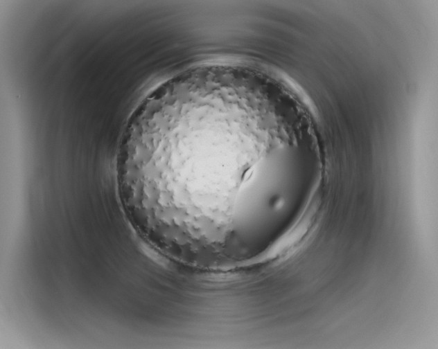 X0000115521425200911131436