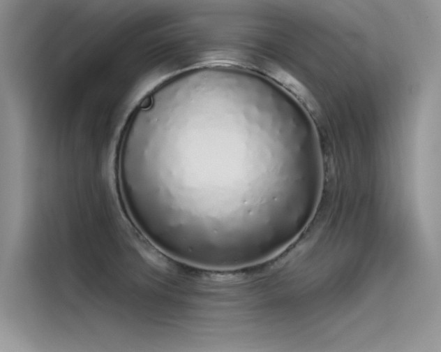 X0000115521427200911131436