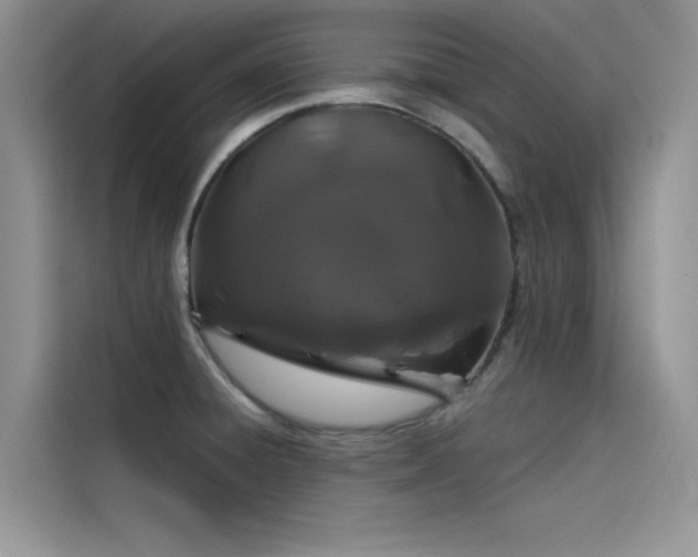 X0000115521428200911131436