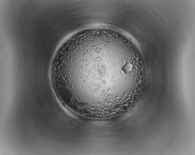 X0000115521429200911131436