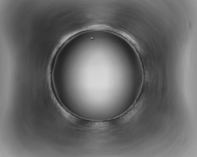 X0000115521430200911131436