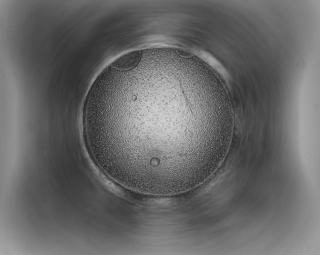 X0000115521431200911131436