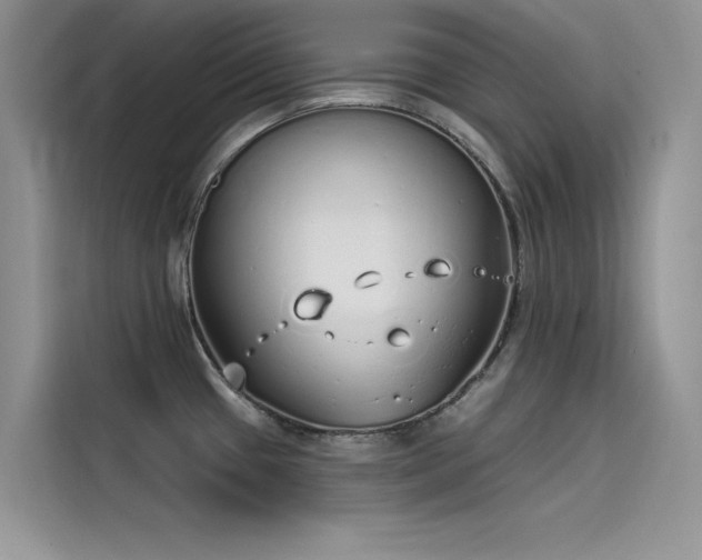 X0000115521433200911131436