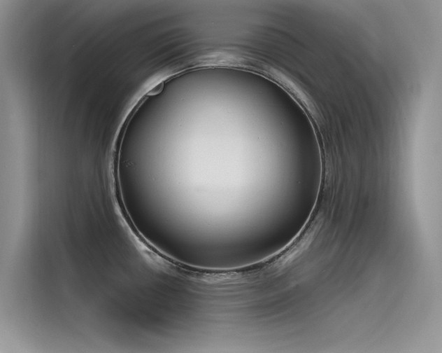 X0000115521434200911131436
