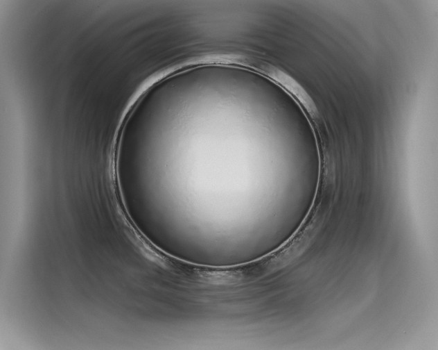 X0000115521436200911131436