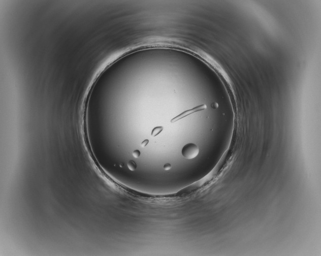 X0000115521437200911131436