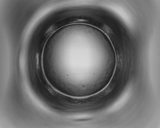 X0000115521439200911131436