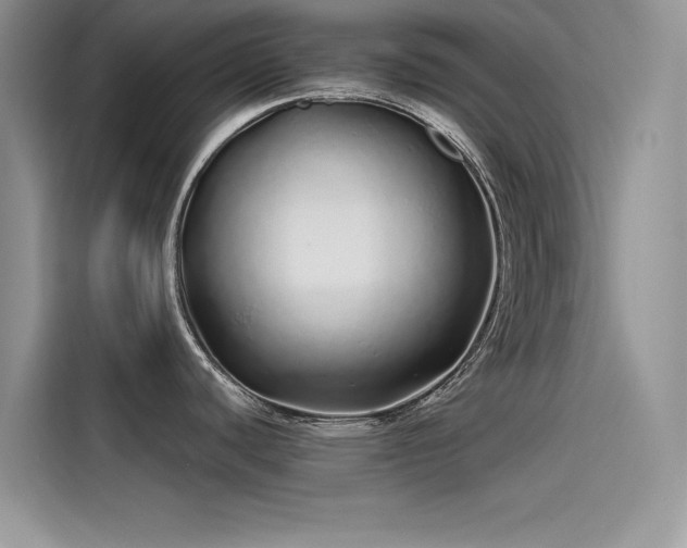 X0000115521440200911131436