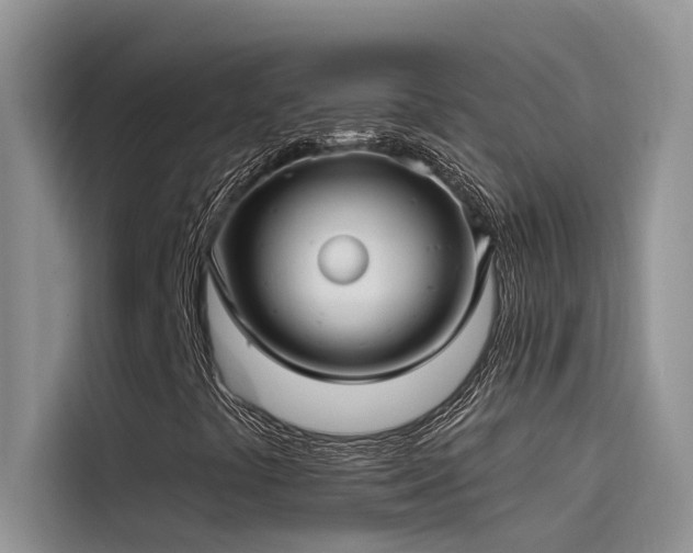 X0000115521441200911131436