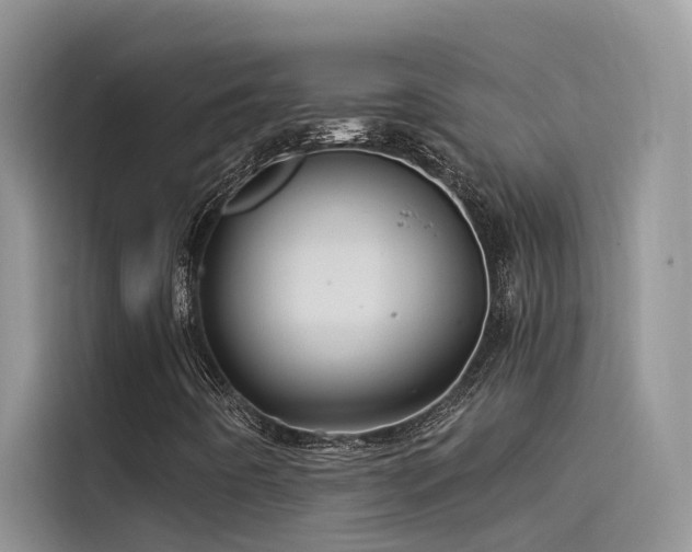 X0000115521442200911131436