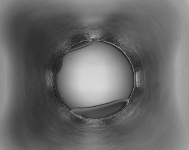 X0000115521443200911131436