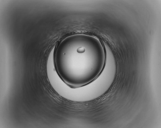 X0000115521444200911131436