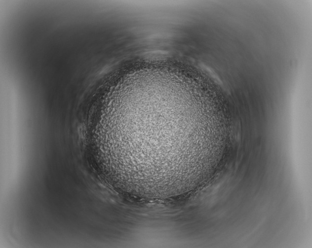 X0000115521445200911131436