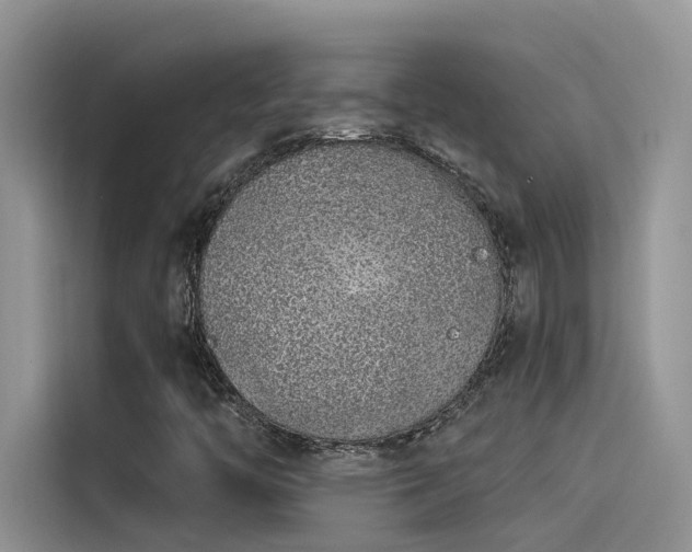 X0000115521446200911131436