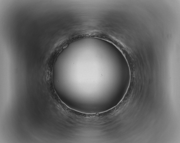 X0000115521447200911131436