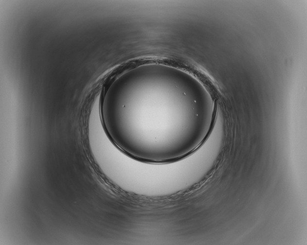 X0000115521448200911131436