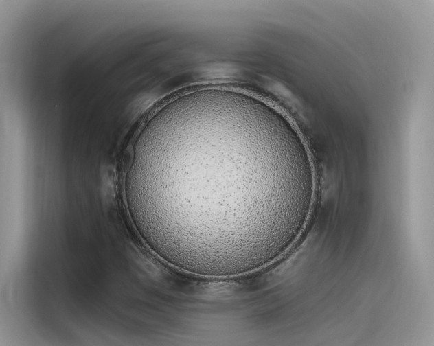X0000115521449200911131436