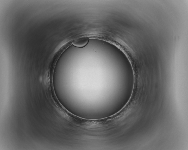 X0000115521450200911131436