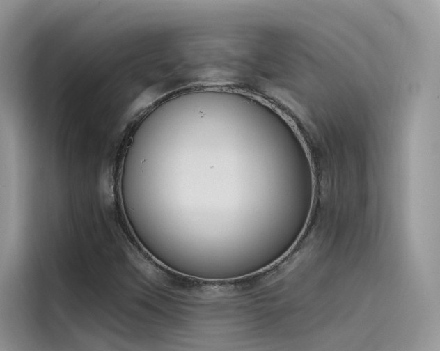 X0000115521451200911131436