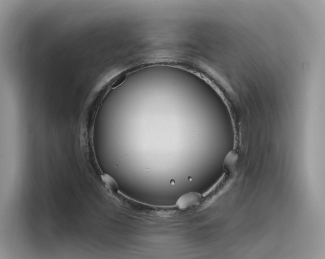 X0000115521453200911131436