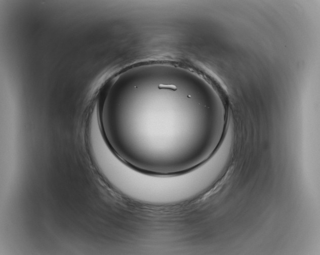 X0000115521455200911131435