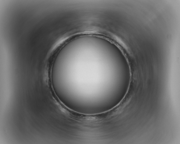X0000115521456200911131435