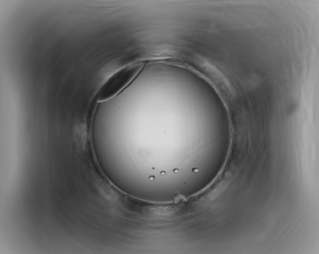 X0000115521457200911131435