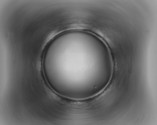 X0000115521459200911131435